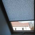 plisy ozdobne zielona góra