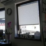 plisa ozdobna zielona góra